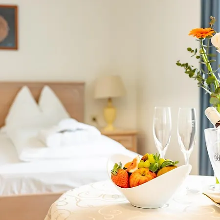 Hotel-restaurant Minichmayr 4* Steyr