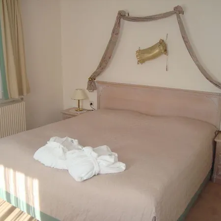 Hotel-restaurant Minichmayr Hotel Steyr