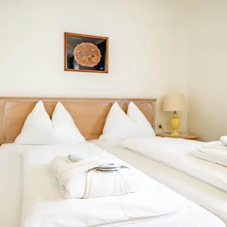 Hotel Hotel-restaurant Minichmayr Steyr