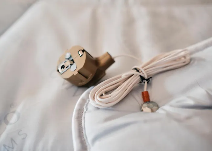 Hotel-Restaurant Minichmayr Hotel Steyr