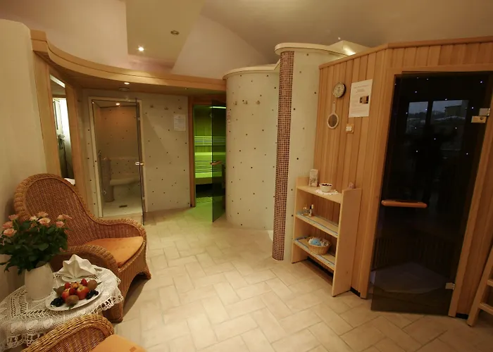 Otel Hotel-restaurant Minichmayr 4*