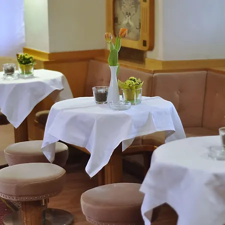 Hotel-restaurant Minichmayr 4* シュタイアー