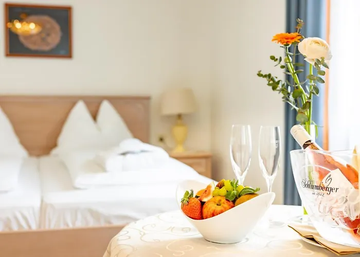 Hotel-restaurant Minichmayr 4* Στάιρ