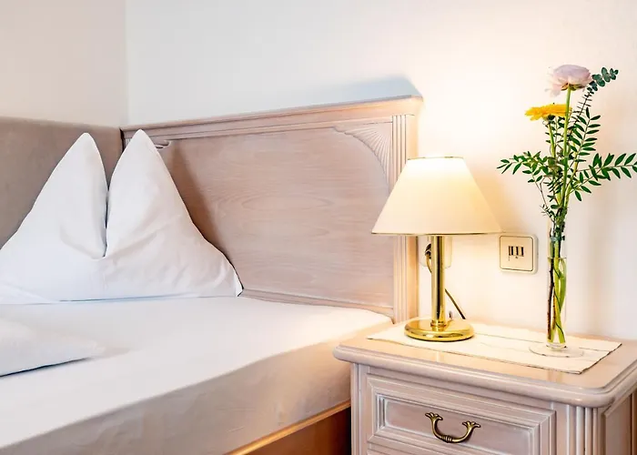 Hotel-restaurant Minichmayr Ξενοδοχείο 4*